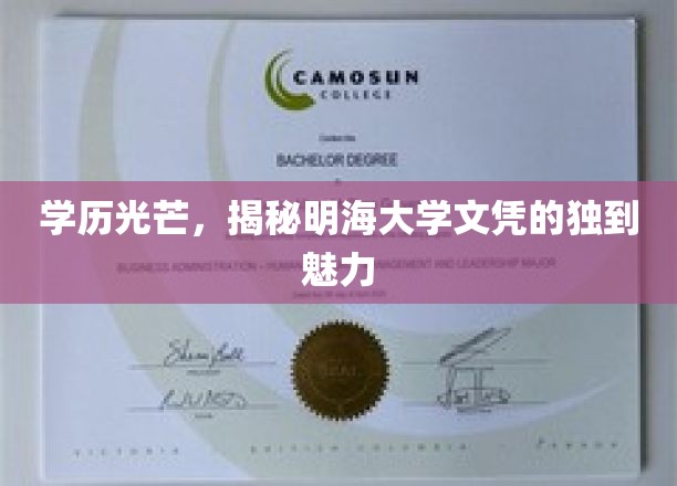 明海文凭独领风骚，探寻学历光芒背后的独特魅力